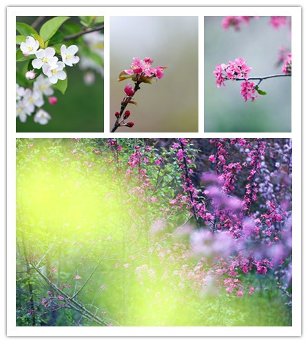 ʱkb88-(й)ܹ˾